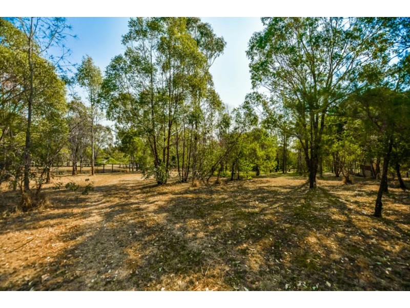 124 The Old Oaks Road, Grasmere NSW 2570