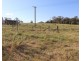 235 Finns Road, Menangle NSW 2568