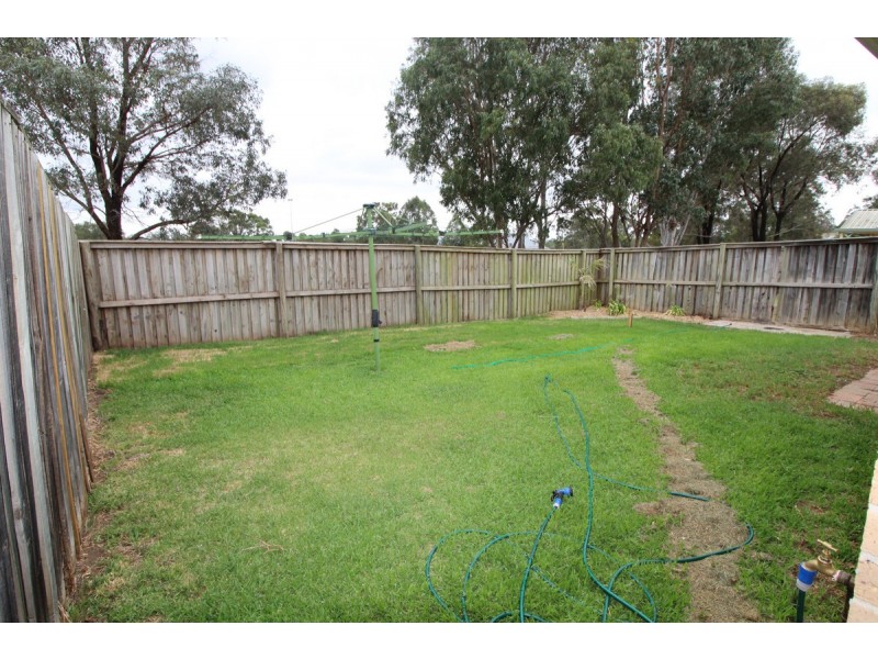 37 Veness Circuit, Narellan Vale NSW 2567