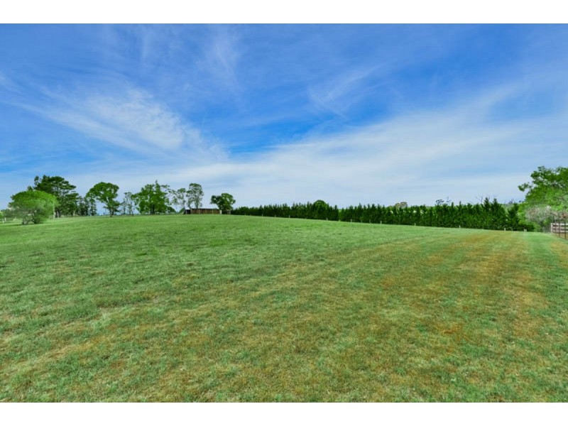 100 Old Oaks Road, The Oaks NSW 2570