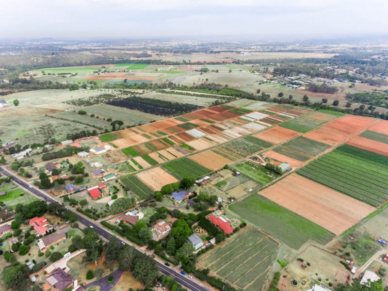 146 Cobbitty Road, Cobbitty NSW 2570