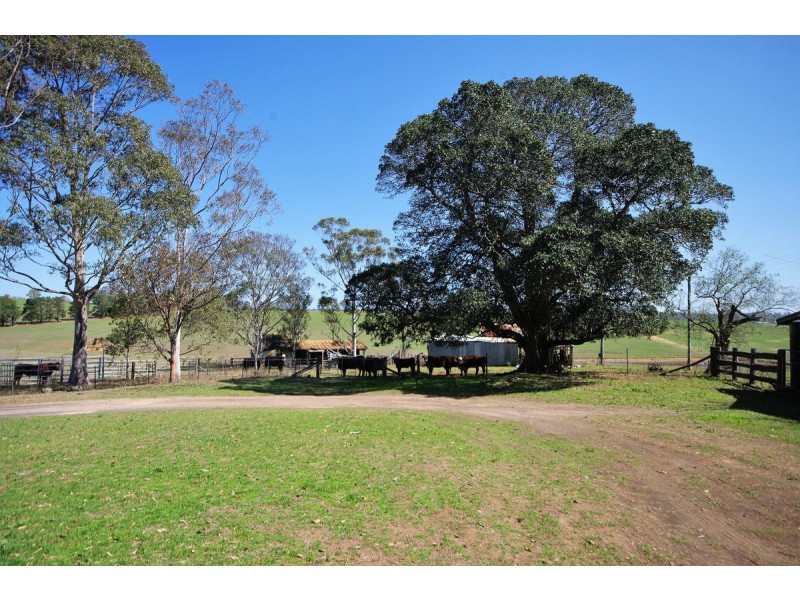 125 Montpelier Drive, The Oaks NSW 2570