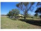 125 Montpelier Drive, The Oaks NSW 2570