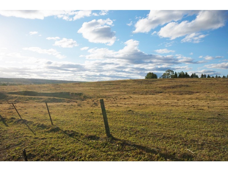 125 Montpelier Drive, The Oaks NSW 2570