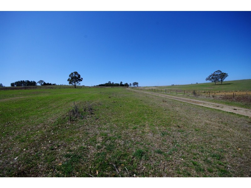 125 Montpelier Drive, The Oaks NSW 2570