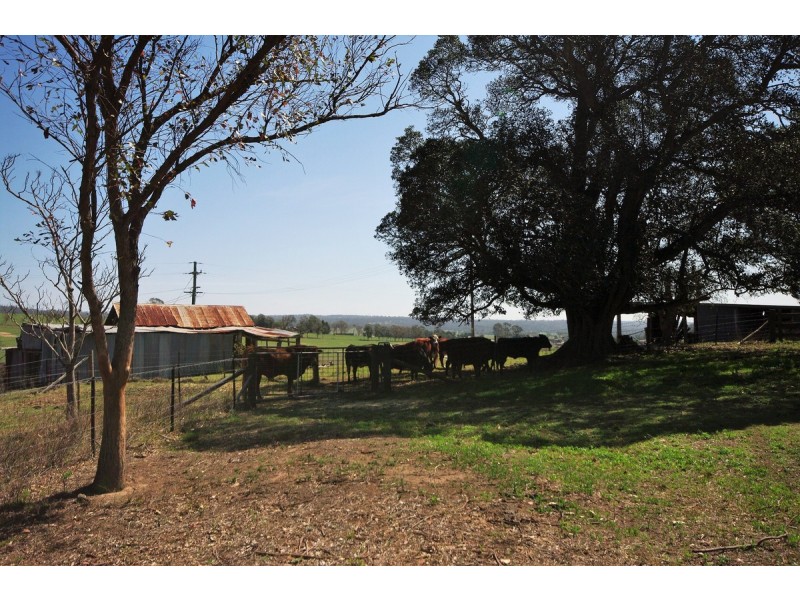 125 Montpelier Drive, The Oaks NSW 2570