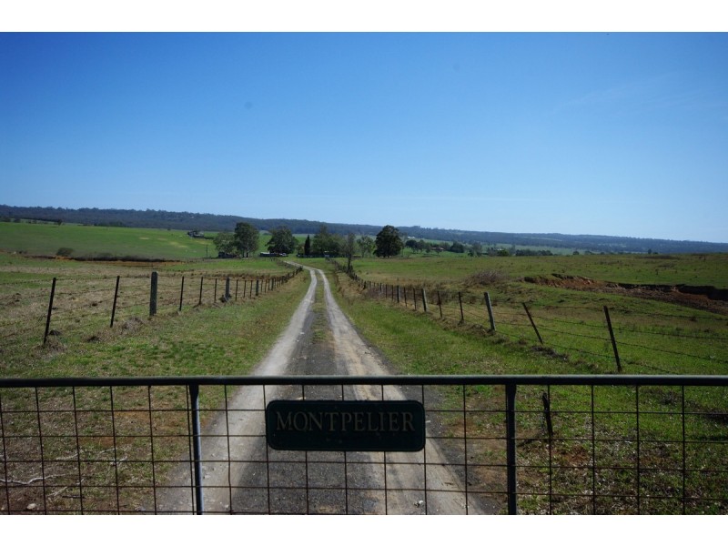 125 Montpelier Drive, The Oaks NSW 2570