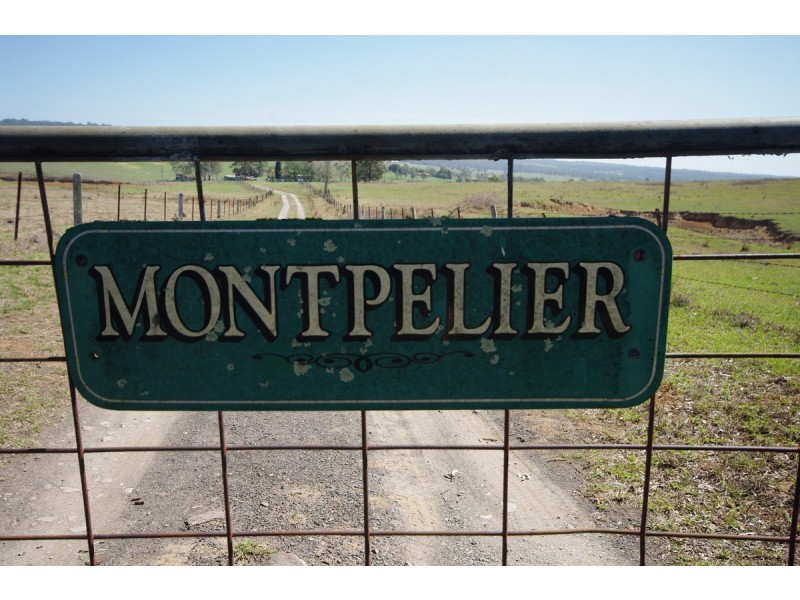 125 Montpelier Drive, The Oaks NSW 2570