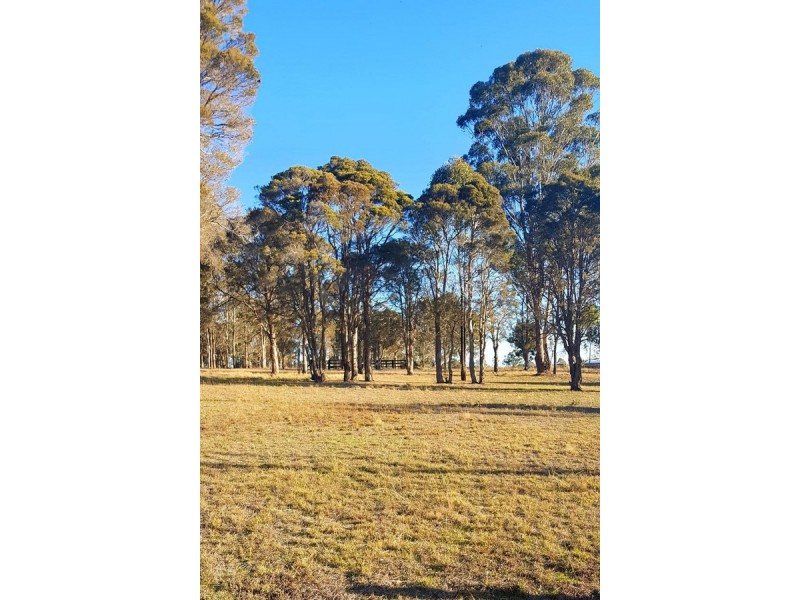 219 Donalds Range Road, Razorback NSW 2571