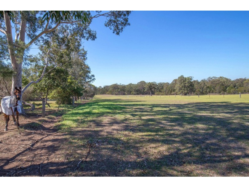 210 Dairy Road, The Oaks NSW 2570