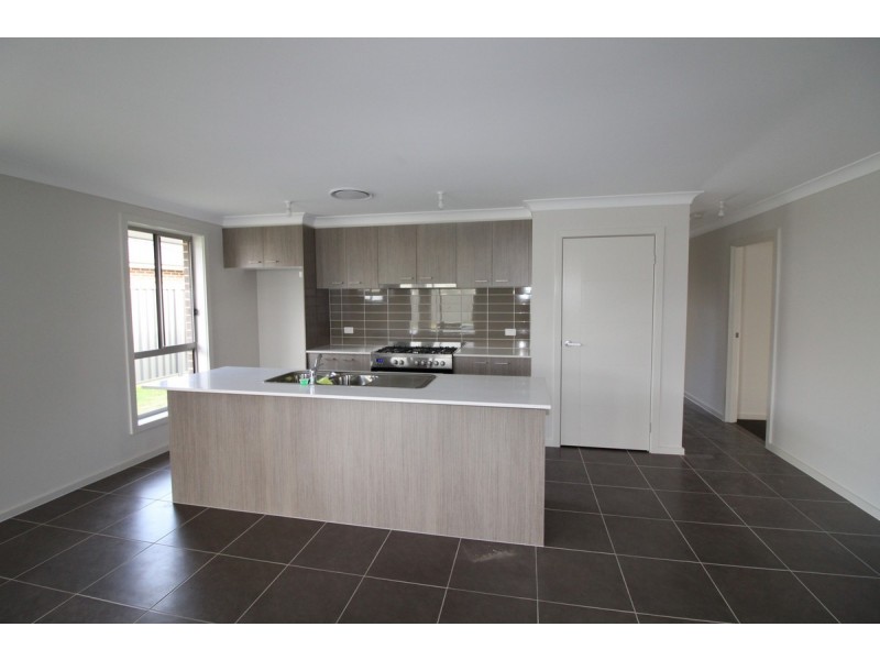 19 Mooney Street, Spring Farm NSW 2570