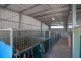 210 Dairy Road, The Oaks NSW 2570