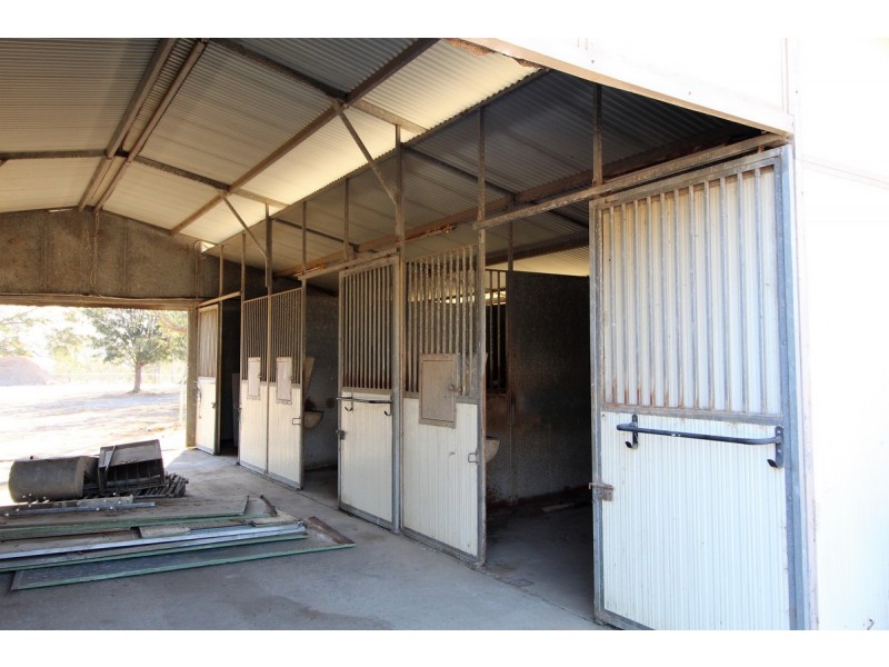 155 Coates Park Road, Cobbitty NSW 2570