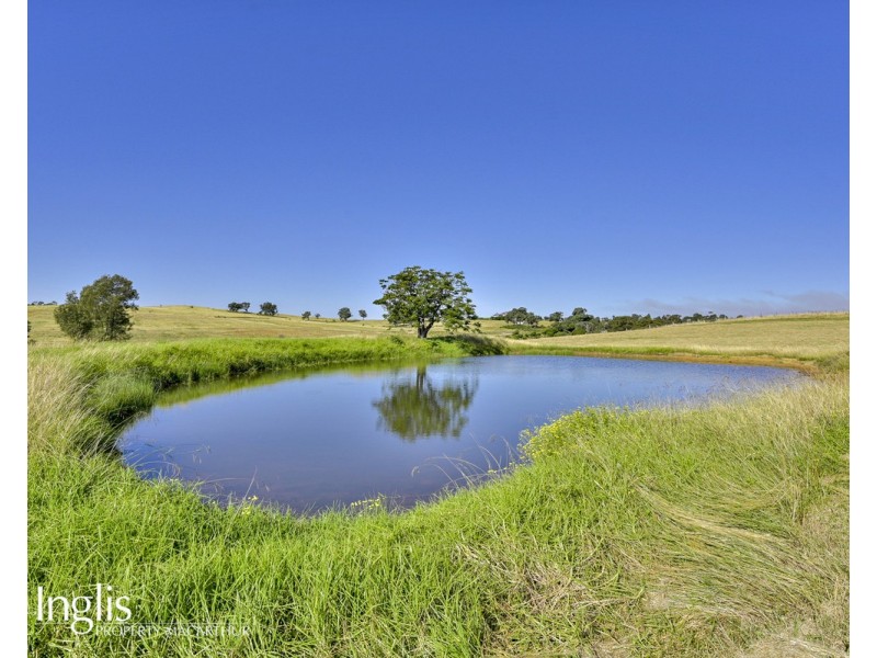 65 Finns Road, Menangle NSW 2568