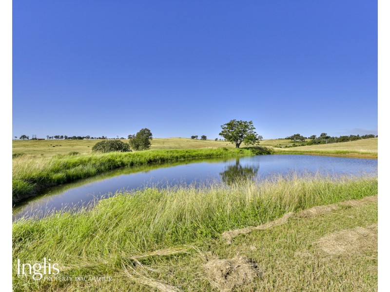 65 Finns Road, Menangle NSW 2568