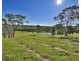 Lot 1541, 161 Eagle Creek Road, Werombi NSW 2570