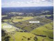 The Oaks NSW 2570