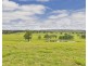 The Oaks NSW 2570