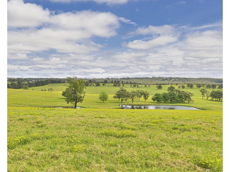 The Oaks NSW 2570