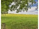 The Oaks NSW 2570