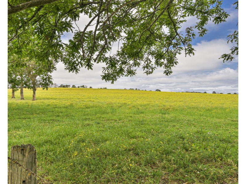 The Oaks NSW 2570