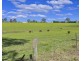 The Oaks NSW 2570