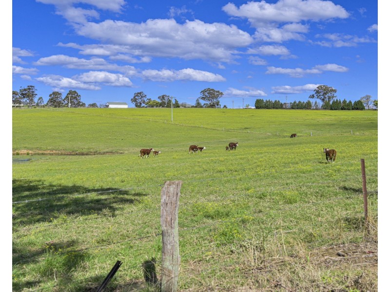The Oaks NSW 2570