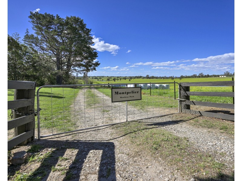 The Oaks NSW 2570