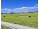 The Oaks NSW 2570