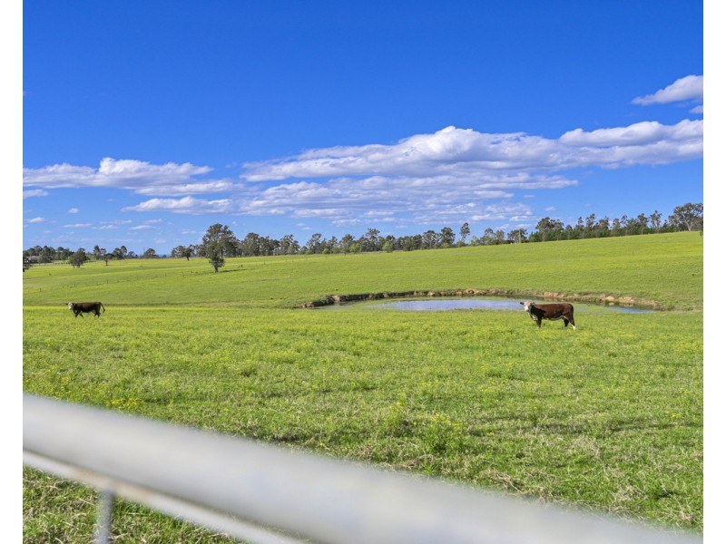 The Oaks NSW 2570