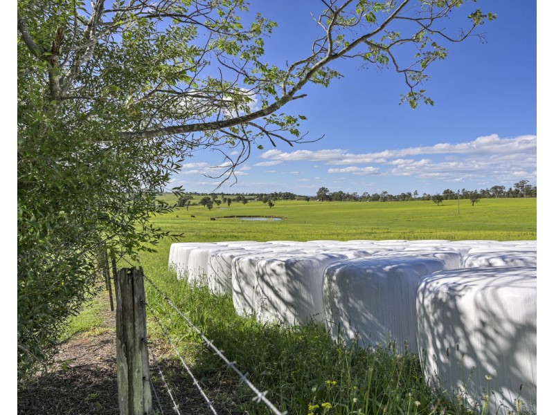 The Oaks NSW 2570