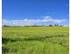 The Oaks NSW 2570