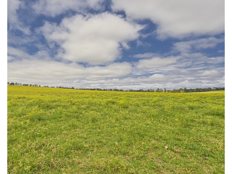 The Oaks NSW 2570