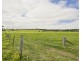 The Oaks NSW 2570