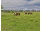 The Oaks NSW 2570