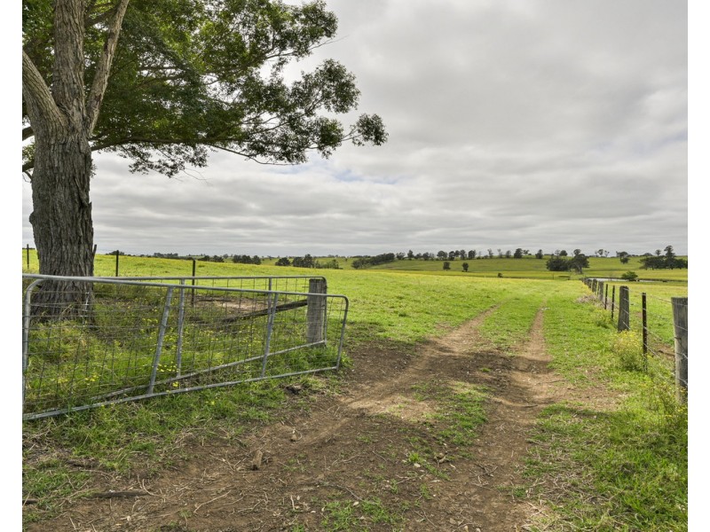 The Oaks NSW 2570
