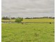 The Oaks NSW 2570