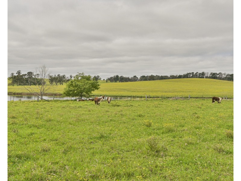 The Oaks NSW 2570