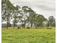 The Oaks NSW 2570