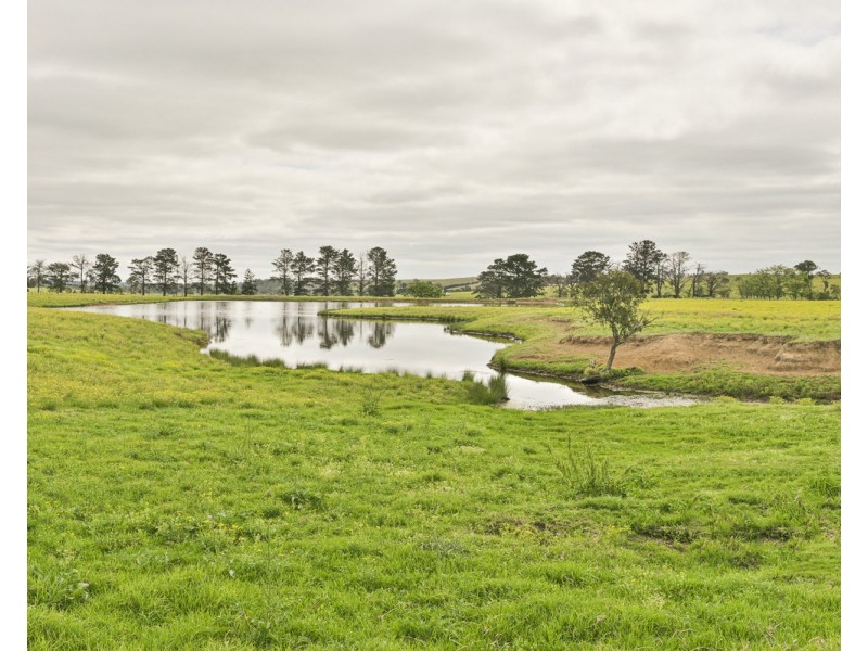 The Oaks NSW 2570