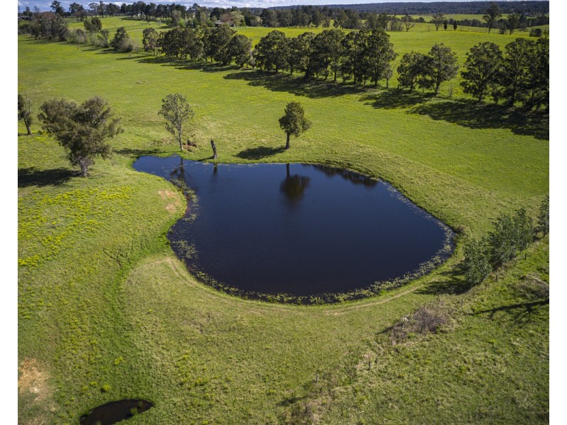 The Oaks NSW 2570
