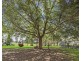 475 Cobbitty Road, Cobbitty NSW 2570
