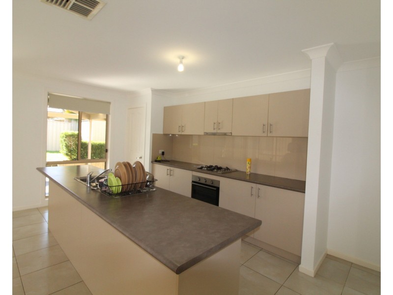 41 Tristania Street, Mount Annan NSW 2567