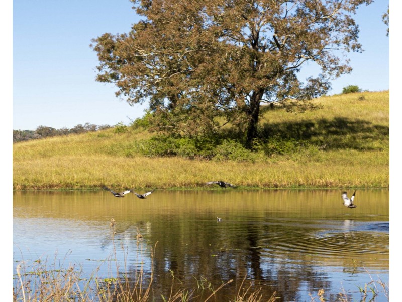 215 Biffins Lane, Cawdor NSW 2570