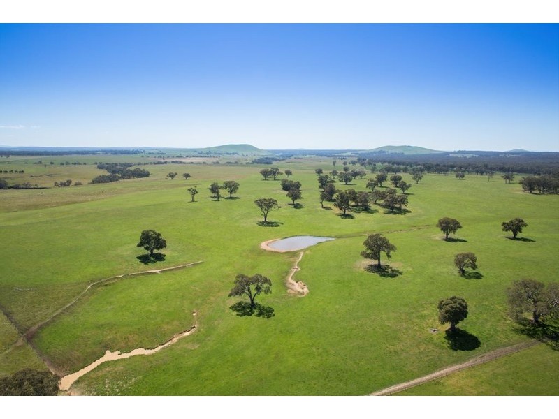 445 Beckworth Court Road, Clunes VIC 3370