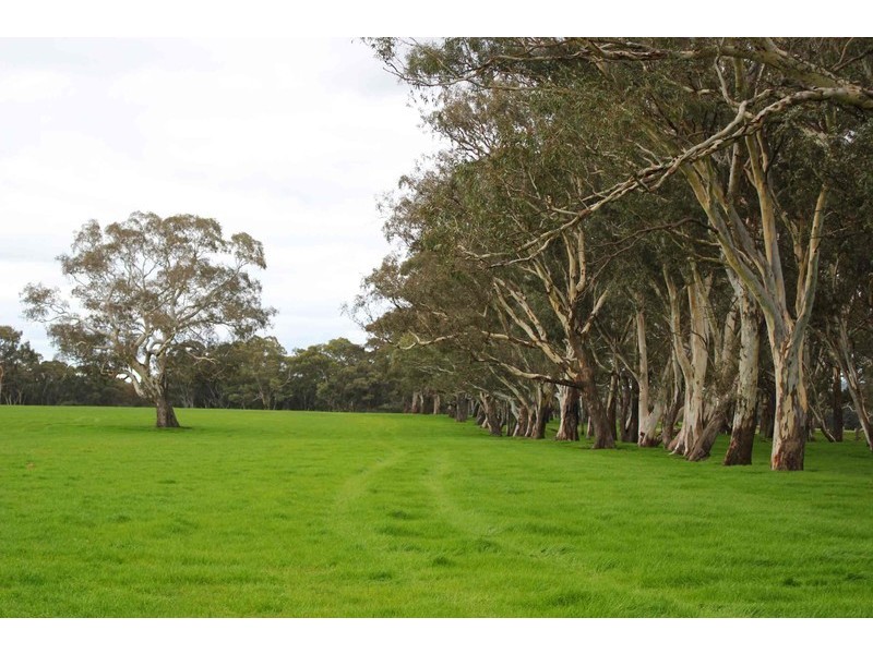 445 Beckworth Court Road, Clunes VIC 3370