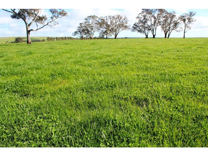 445 Beckworth Court Road, Clunes VIC 3370