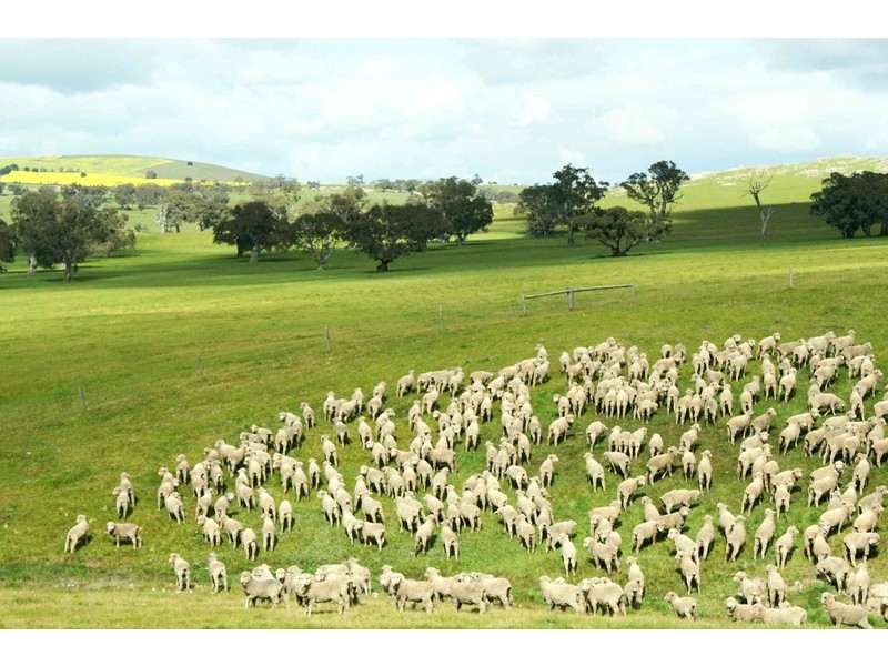 445 Beckworth Court Road, Clunes VIC 3370