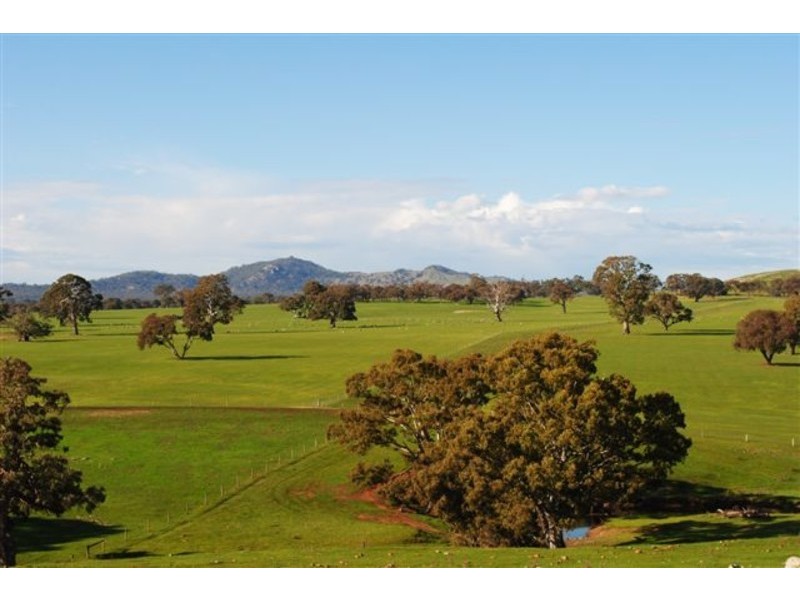 445 Beckworth Court Road, Clunes VIC 3370