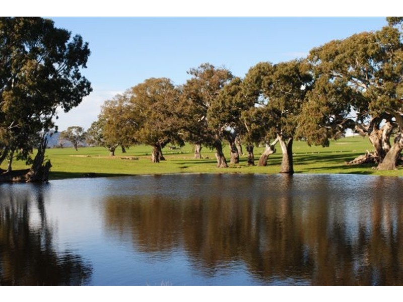 445 Beckworth Court Road, Clunes VIC 3370